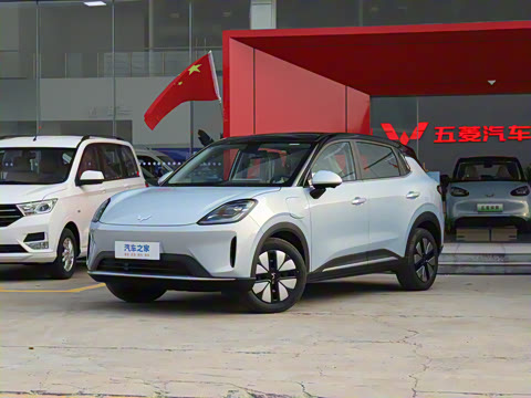 2025�� 325km ������