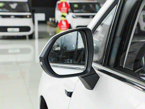 2025�� ������ ����������