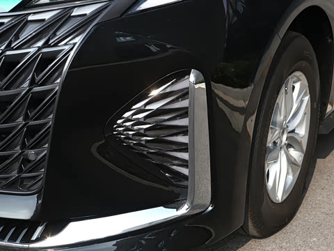 2026�� 2.5L �߶���