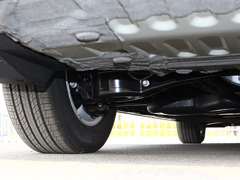 2026�� 2.5L �߶���