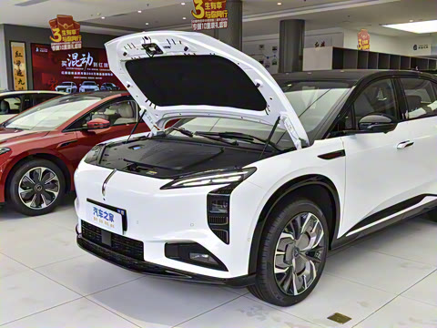 2025�� 565�����ȷ��