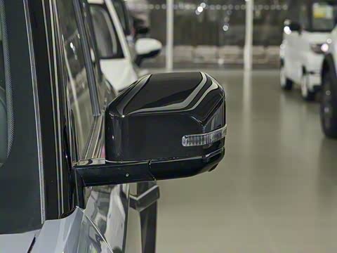 2025�� 520���������