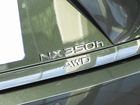 2025�� 350h JOY X