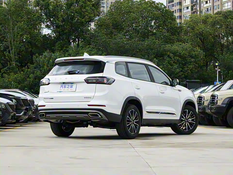 2025�� 290TGDI DCT����� 