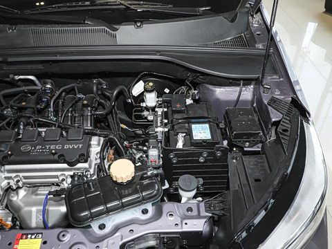 2026�� 1.5L �ֶ�������