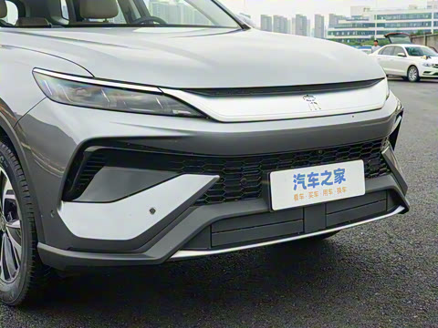 2026�� DM-i 133KM��Խ��