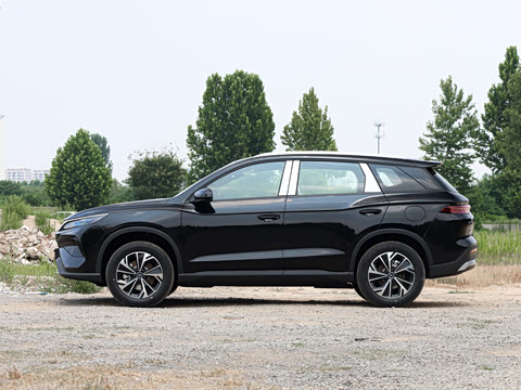 2026�� DM-i 133KM��ȡ��