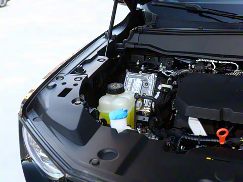 2026�� 2.0T ��Ұ��