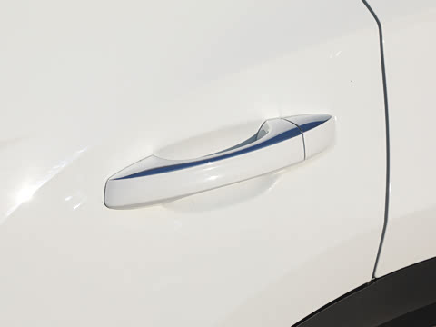 2026�� 300TSI DSG���������