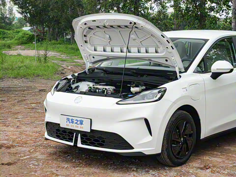 2026�� 437 ���İ�