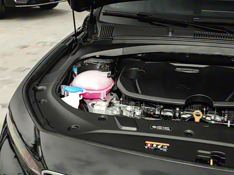 2026�� ������ 1.5TD ��ҡ��