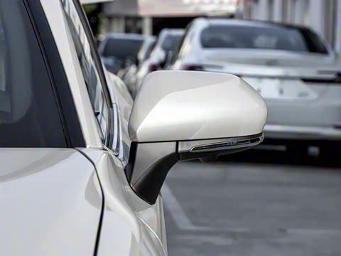 2026�� ˫�� 2.0HXS �˶�Plus��