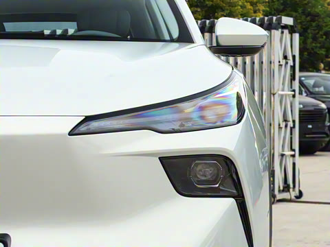 2025�� 565km ������