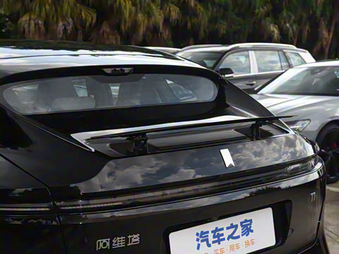 2025�� Max �����