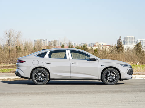 2026�� DM-i 210KM��Խ��