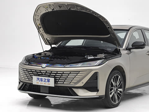 2026�� 1.5L ��϶���