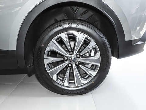 2025�� 25T �׽��