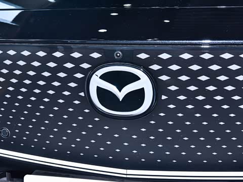 2026�� ����600 Pro�˶���