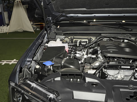 2025�� ̽�������Զ��� ����