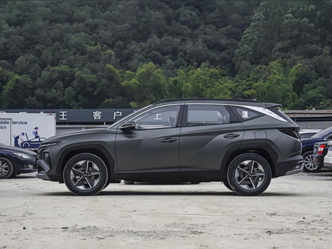 2025�� ;ʤL 1.5T ����