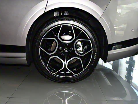 2026�� �����������̰� 310������