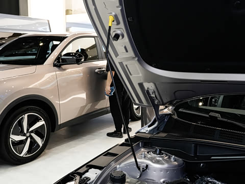 2026�� 1.5L �������� ������