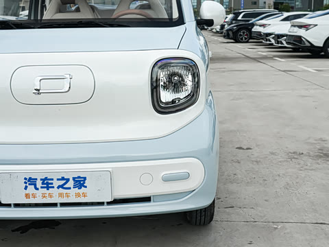 2026�� 222km ��ҫ��