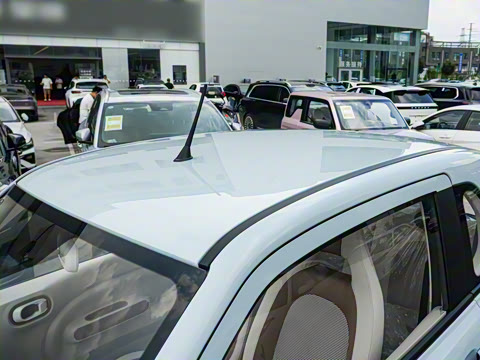 2026�� 222km �Ų���