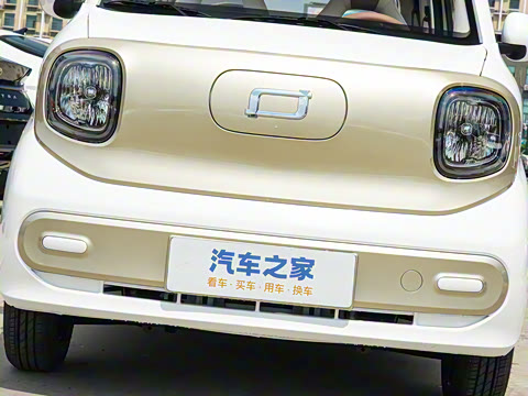 2026�� 222km �Ų���