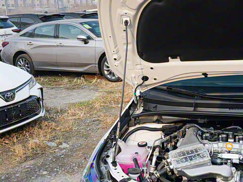 2025�� 1.2T ��Ӣ��