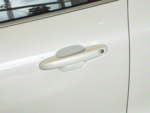 2024�� EcoBoost 245 ����ҫ����