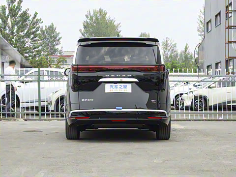 2025�� DM-i ��������