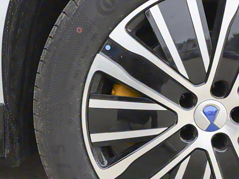 2025�� ������