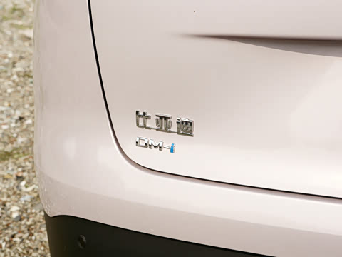 2026�� DM-i �Ǻ���