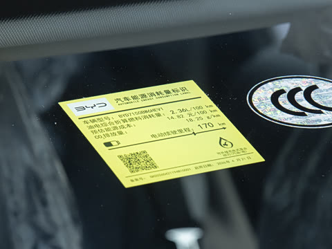 2027�� DM-i 230KM������