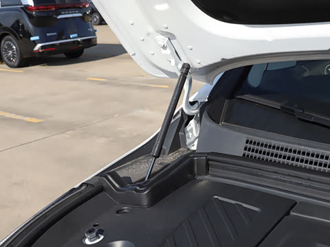 2025�� EV �������������