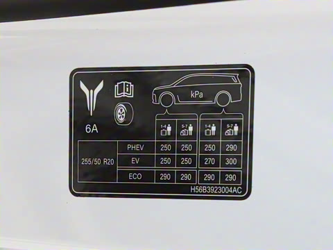 2025�� EV �������������