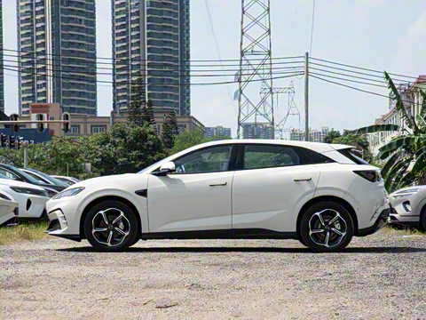 2025�� �Ǽݰ� 505���˰�