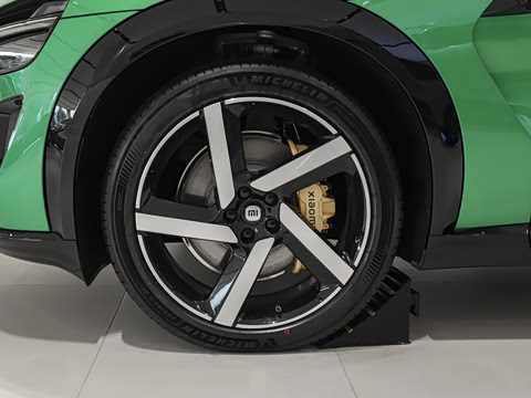 2025�� ������������Pro��