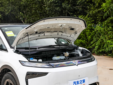 2026�� ��ƽ�� ������������