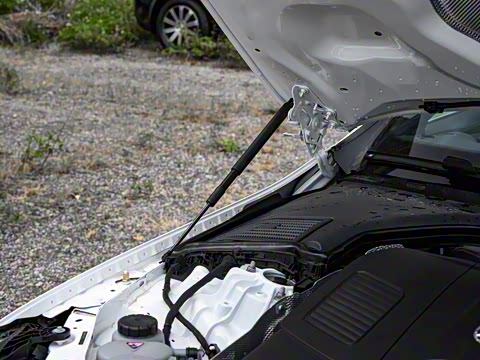 2026�� C 260 L �˶���