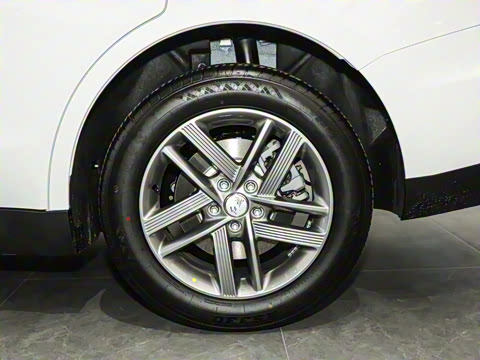 2025�� 500km ���а�