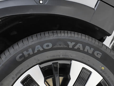 2026�� 255km ������