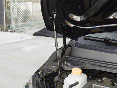 2026�� 365KM ��ҵ�� 7��