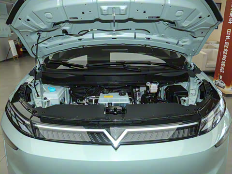 2026�� ��ƽ�� ������������