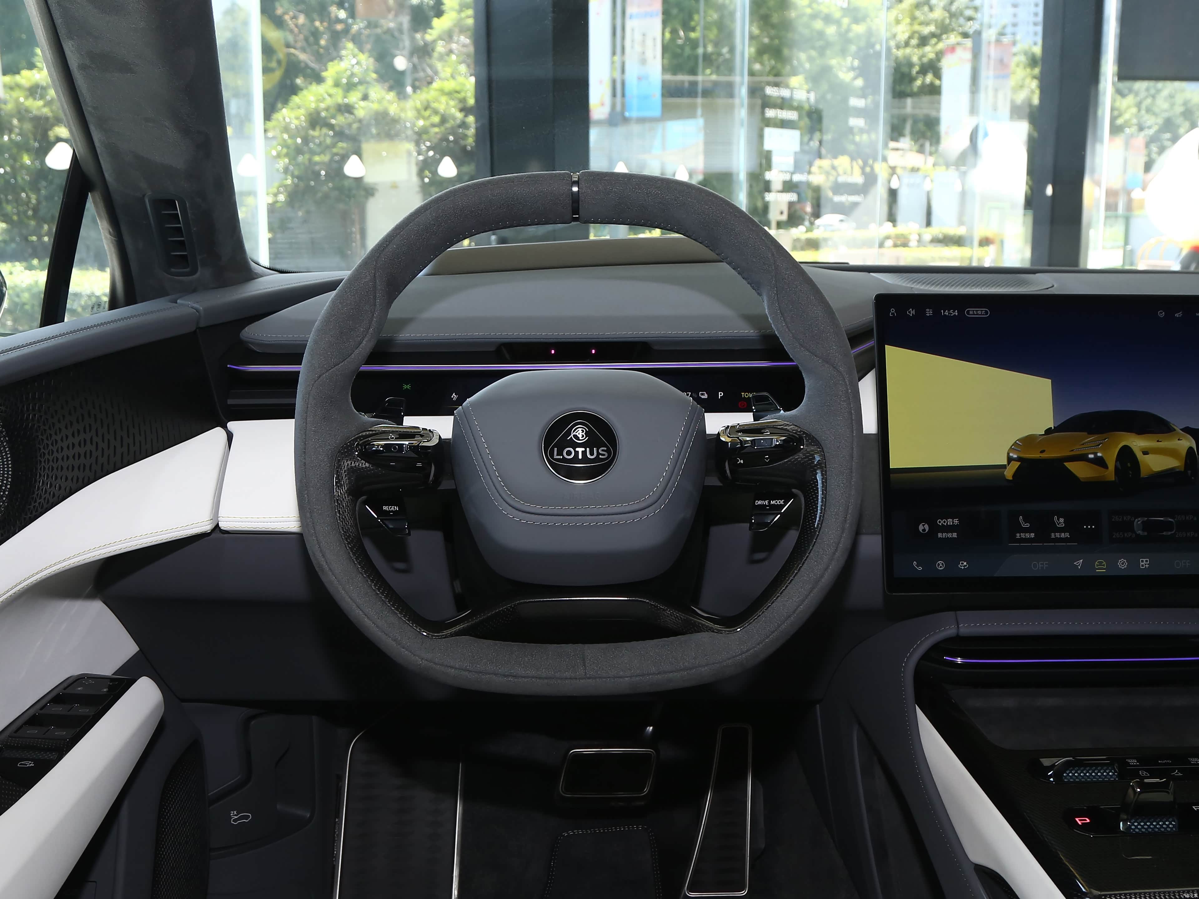 Lotus Emeya, миниатюра 12