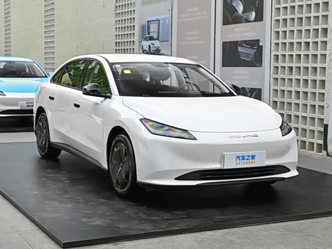 2026�� 501km ���а�