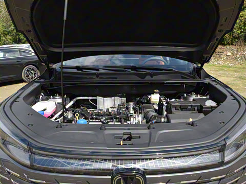 2026�� �ǻ۹ھ��� 1.5T ������ ������