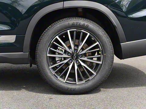 2025�� 290T ��������+