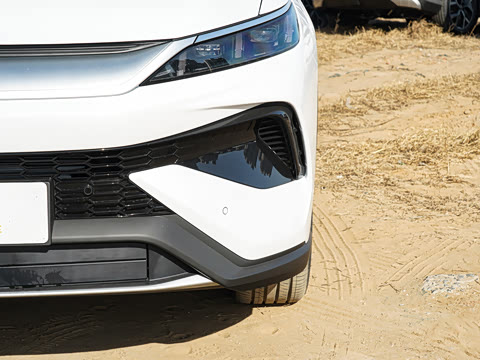 2026�� DM-i 220KM��Խ��